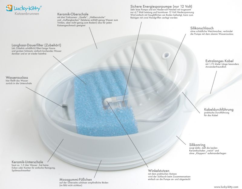 Lucky-Kitty Cat drink well