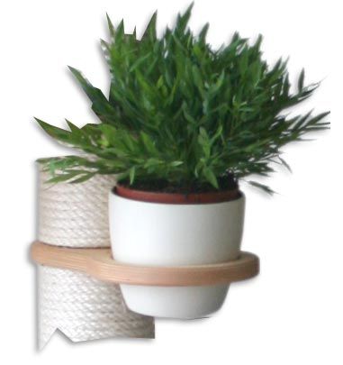 Z12 - Cat Grass Pot Holder